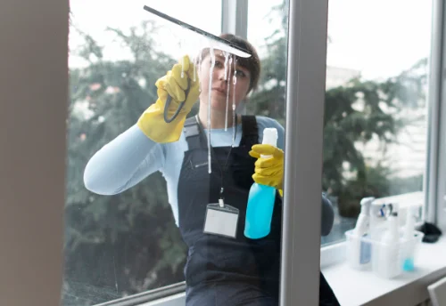Nettoyage de vitres intérieures et extérieures à Saint-Martin-d'Estréaux